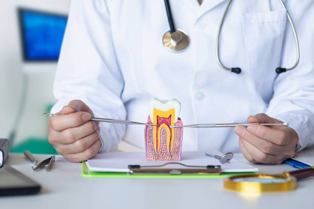 Best Emergency Wisdom Teeth Removal in Newaygo, MI